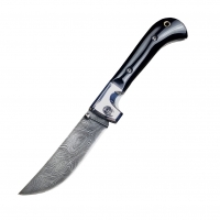 Складной Пчак из дамасской стали